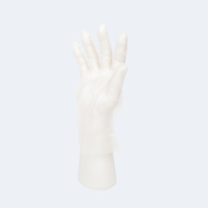 Intco Medical Disposable CPE Gloves